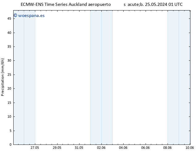 Precipitación ALL TS dom 26.05.2024 13 UTC