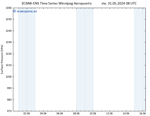 Presión superficial ALL TS vie 31.05.2024 14 UTC