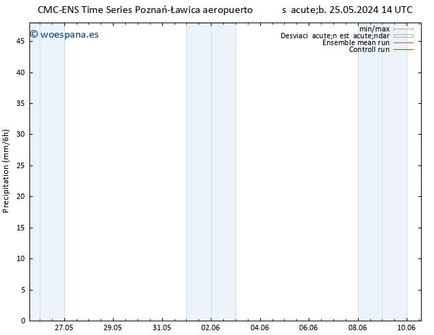 Precipitación CMC TS sáb 25.05.2024 20 UTC