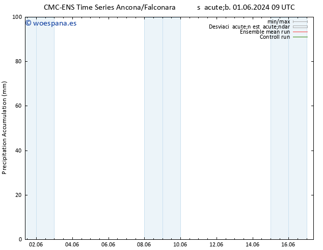 Precipitación acum. CMC TS dom 02.06.2024 09 UTC