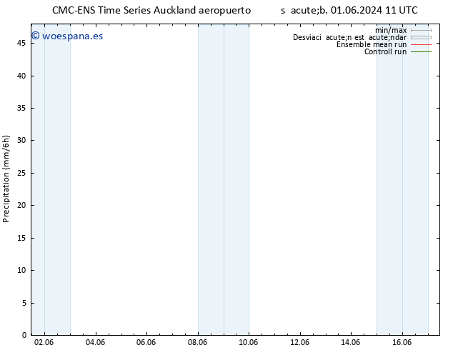 Precipitación CMC TS mar 04.06.2024 11 UTC