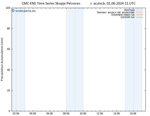 Precipitación acum. CMC TS sáb 01.06.2024 11 UTC