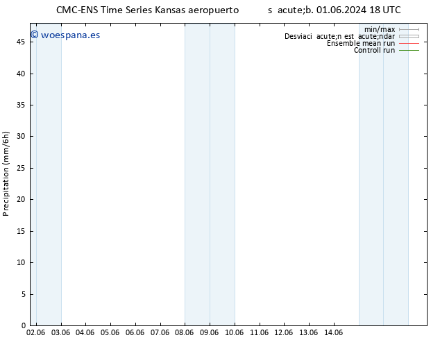 Precipitación CMC TS sáb 08.06.2024 12 UTC
