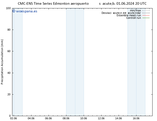 Precipitación acum. CMC TS mar 04.06.2024 20 UTC