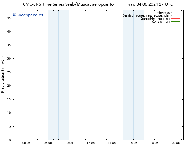 Precipitación CMC TS mar 04.06.2024 23 UTC