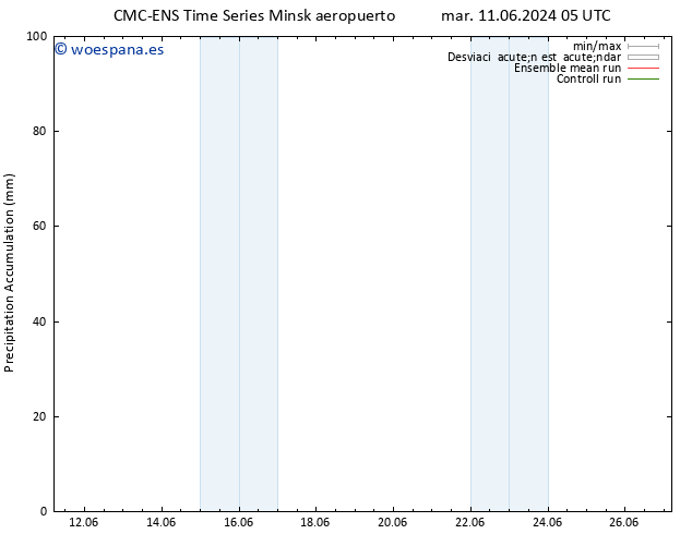 Precipitación acum. CMC TS mar 11.06.2024 05 UTC