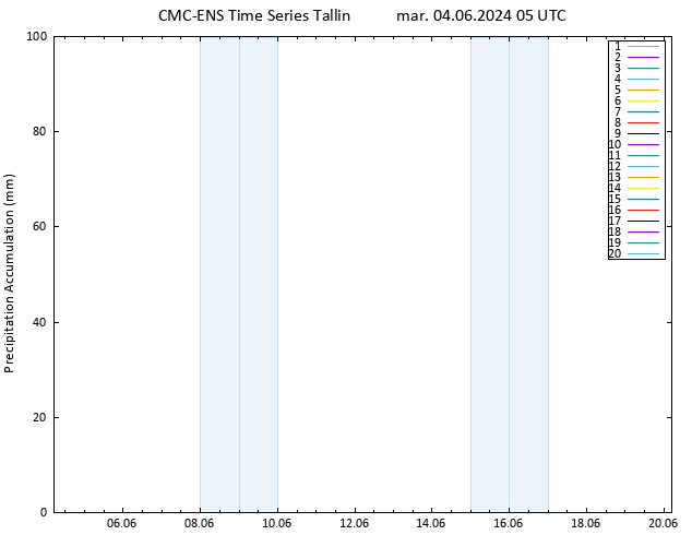 Precipitación acum. CMC TS mar 04.06.2024 05 UTC