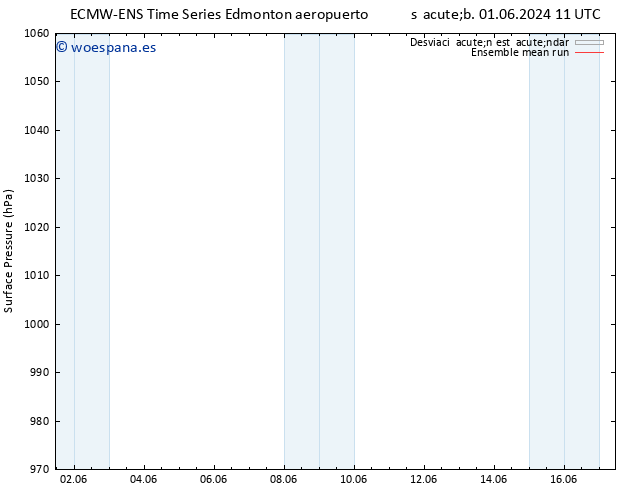 Presión superficial ECMWFTS dom 02.06.2024 11 UTC