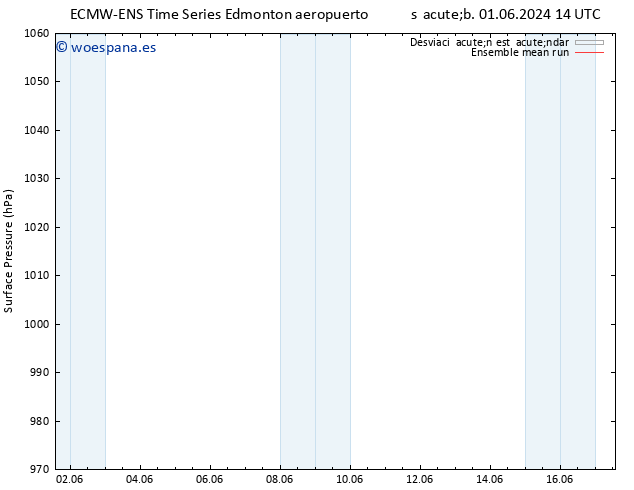 Presión superficial ECMWFTS mar 11.06.2024 14 UTC