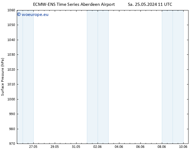 Surface pressure ALL TS Fr 31.05.2024 11 UTC