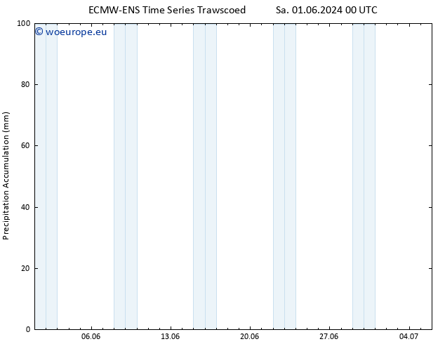 Precipitation accum. ALL TS Sa 01.06.2024 06 UTC