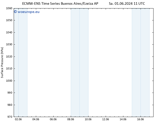 Surface pressure ALL TS Su 02.06.2024 23 UTC