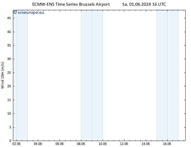 Surface wind ALL TS Sa 08.06.2024 04 UTC