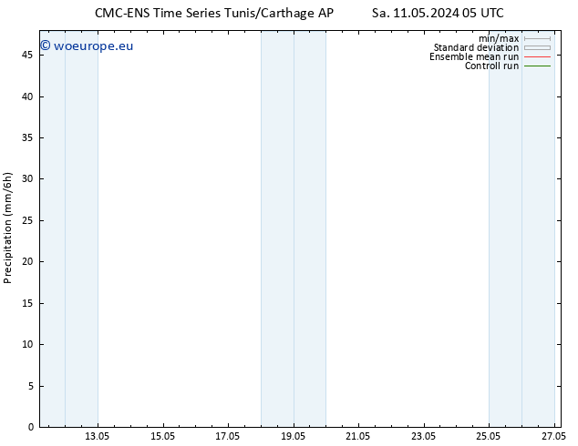 Precipitation CMC TS Sa 11.05.2024 11 UTC