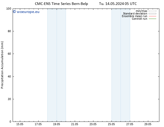 Precipitation accum. CMC TS Tu 14.05.2024 17 UTC