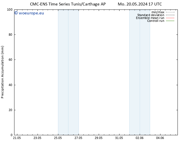 Precipitation accum. CMC TS Th 23.05.2024 11 UTC