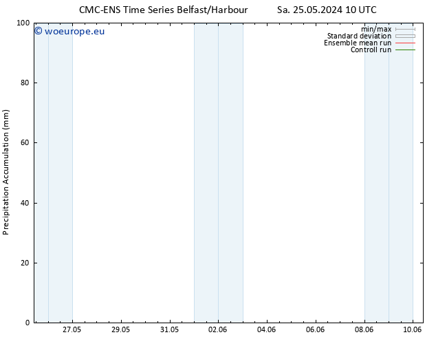 Precipitation accum. CMC TS Th 30.05.2024 04 UTC