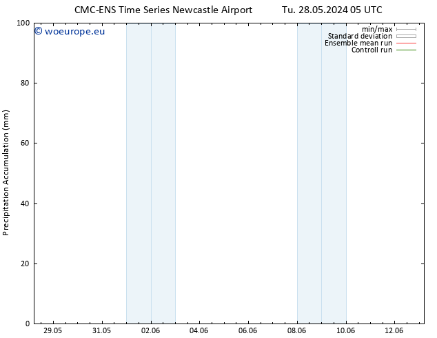 Precipitation accum. CMC TS Tu 04.06.2024 23 UTC