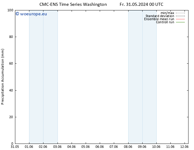 Precipitation accum. CMC TS We 12.06.2024 06 UTC