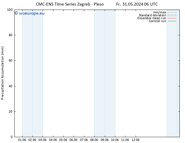 Precipitation accum. CMC TS Fr 31.05.2024 18 UTC