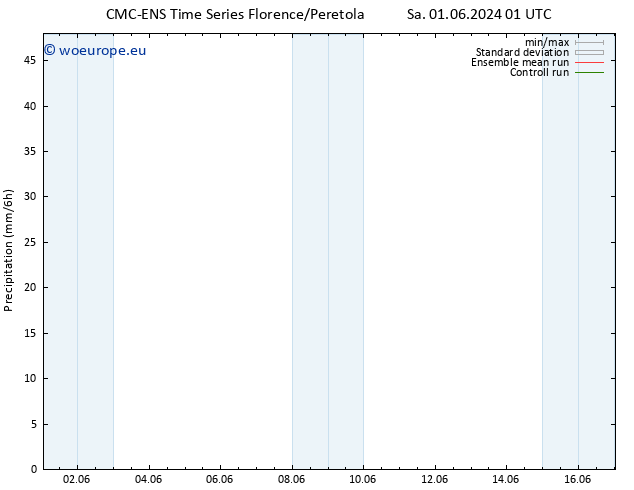 Precipitation CMC TS Th 06.06.2024 01 UTC