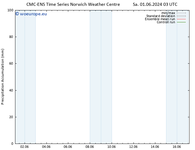 Precipitation accum. CMC TS Sa 01.06.2024 09 UTC