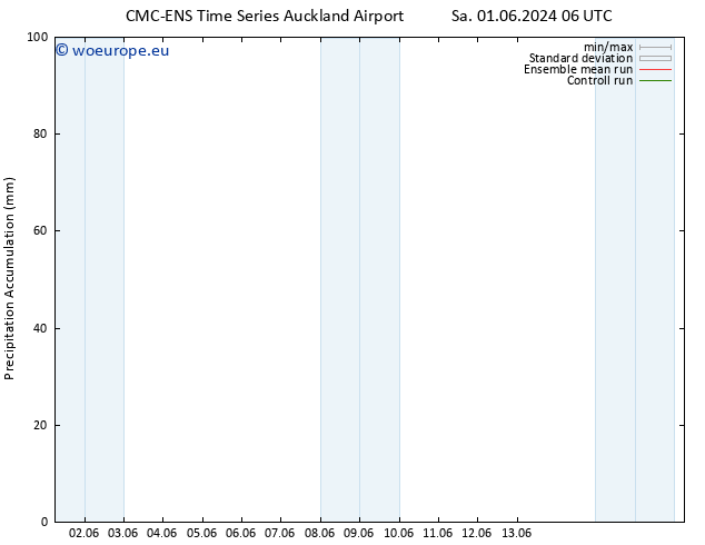 Precipitation accum. CMC TS Tu 04.06.2024 18 UTC