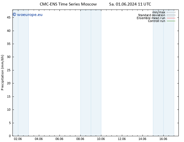 Precipitation CMC TS Su 02.06.2024 17 UTC