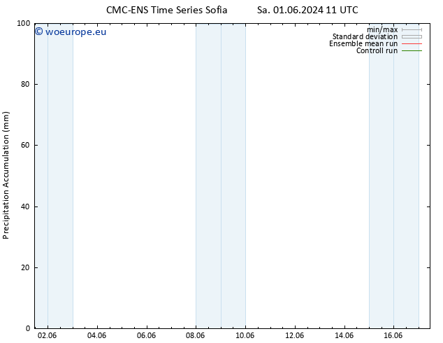 Precipitation accum. CMC TS Th 13.06.2024 17 UTC