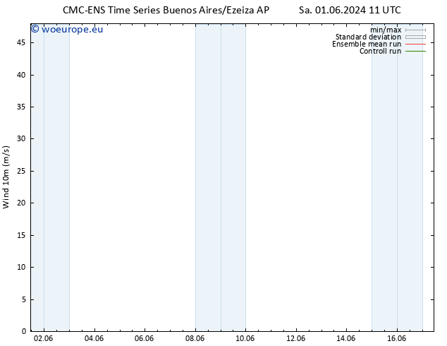 Surface wind CMC TS Sa 08.06.2024 11 UTC