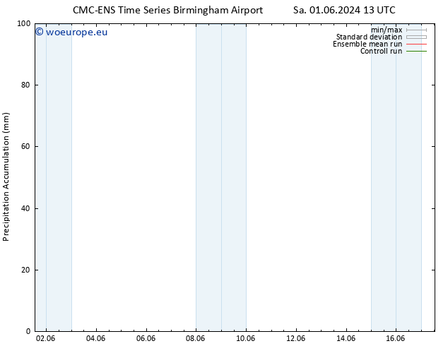 Precipitation accum. CMC TS Th 13.06.2024 19 UTC