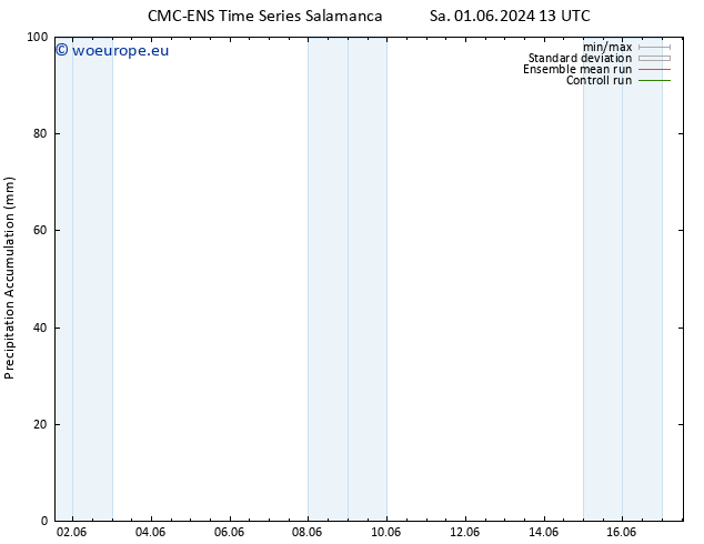Precipitation accum. CMC TS Sa 01.06.2024 13 UTC