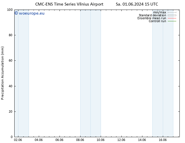 Precipitation accum. CMC TS Th 13.06.2024 21 UTC