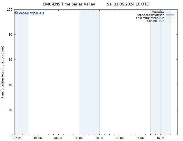 Precipitation accum. CMC TS Sa 01.06.2024 16 UTC