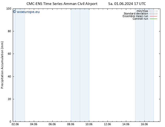 Precipitation accum. CMC TS Tu 04.06.2024 17 UTC