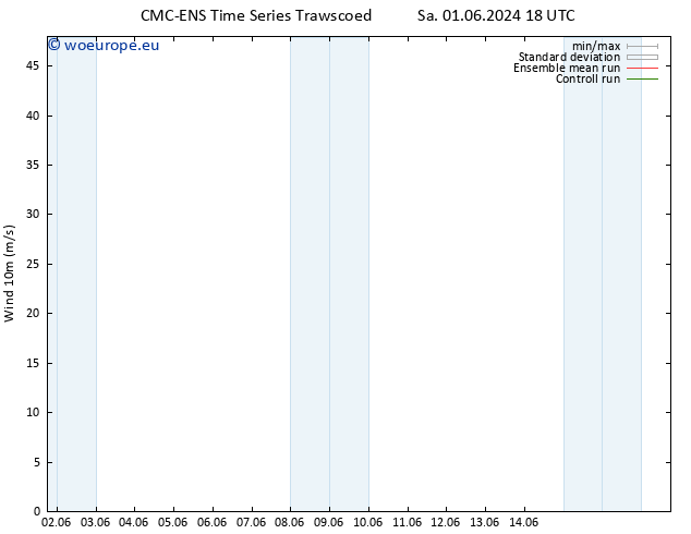 Surface wind CMC TS Mo 03.06.2024 12 UTC