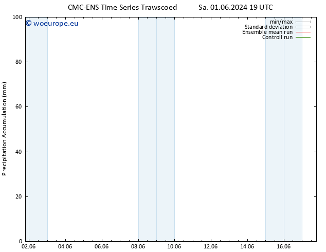 Precipitation accum. CMC TS Tu 04.06.2024 01 UTC