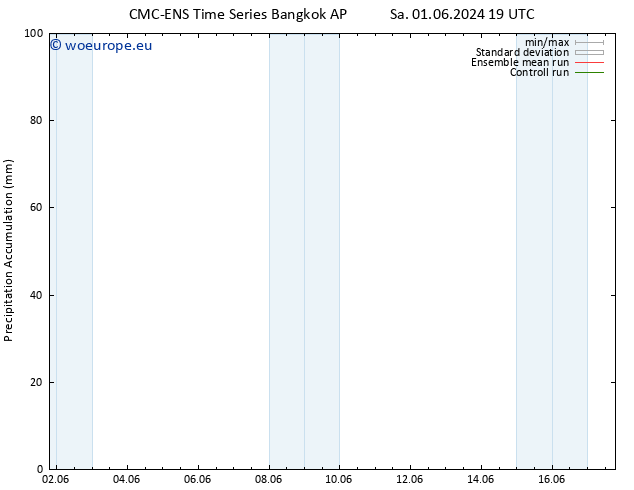 Precipitation accum. CMC TS Su 02.06.2024 19 UTC