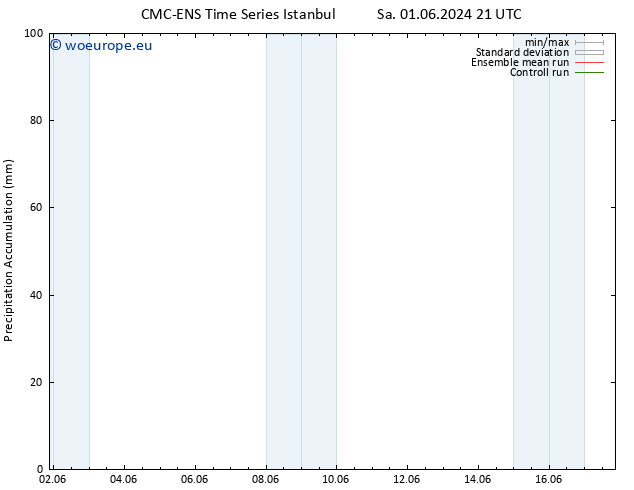 Precipitation accum. CMC TS Tu 04.06.2024 03 UTC