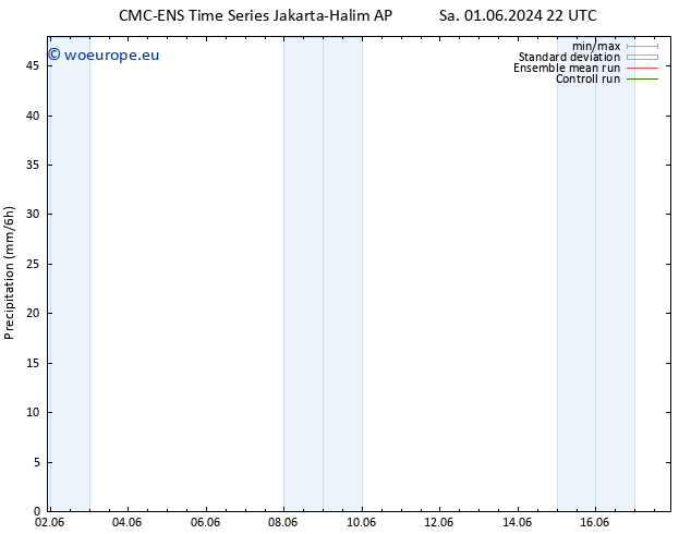 Precipitation CMC TS Sa 08.06.2024 04 UTC