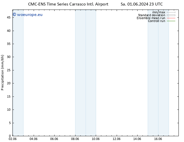 Precipitation CMC TS Th 06.06.2024 11 UTC