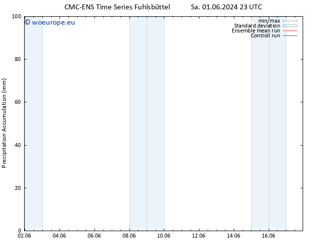 Precipitation accum. CMC TS We 12.06.2024 23 UTC
