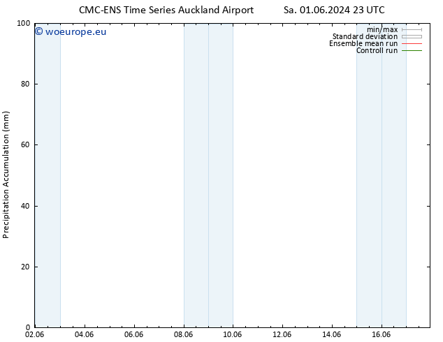 Precipitation accum. CMC TS Su 09.06.2024 11 UTC