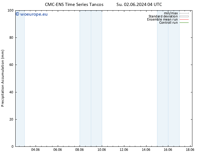Precipitation accum. CMC TS We 12.06.2024 04 UTC