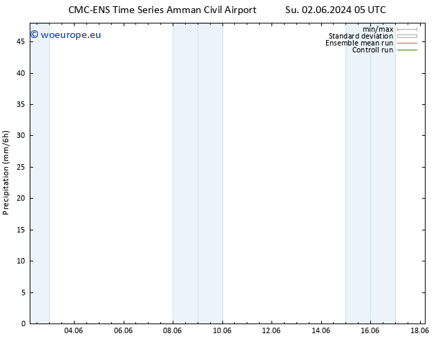 Precipitation CMC TS Th 06.06.2024 05 UTC