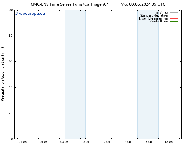 Precipitation accum. CMC TS We 05.06.2024 23 UTC