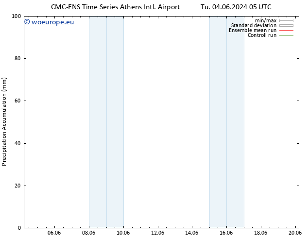 Precipitation accum. CMC TS Tu 11.06.2024 17 UTC