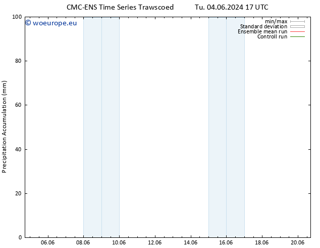 Precipitation accum. CMC TS Tu 11.06.2024 17 UTC