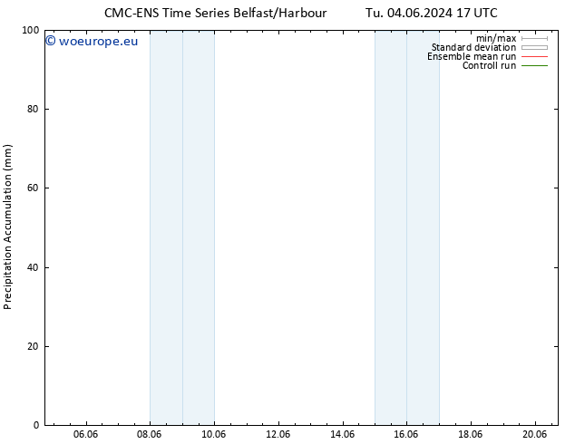 Precipitation accum. CMC TS Tu 04.06.2024 17 UTC