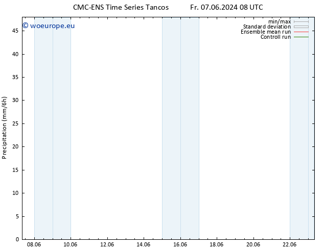 Precipitation CMC TS Tu 11.06.2024 08 UTC